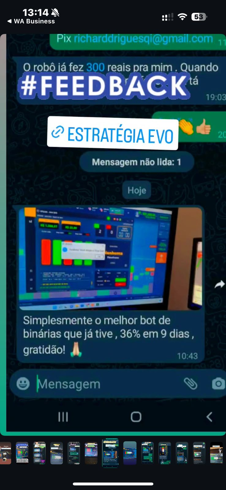 Feedback histórico de cliente do Strategy Evo